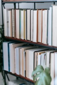 Bookcase with assorted books in rows at home